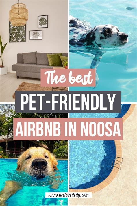 pet friendly airbnb near me|airbnbs that allow pets.